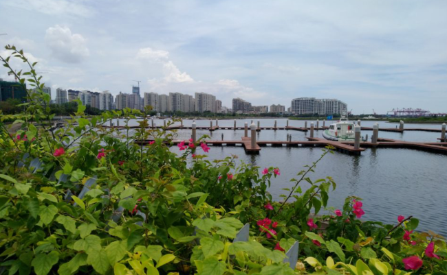 海口游艇码头