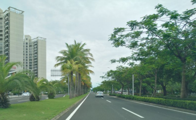 三亚租车比海口贵  海口路况景观